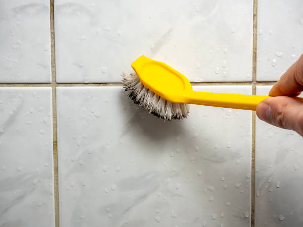 Best Commercial Mold Removal  in Dumbarton, VA
