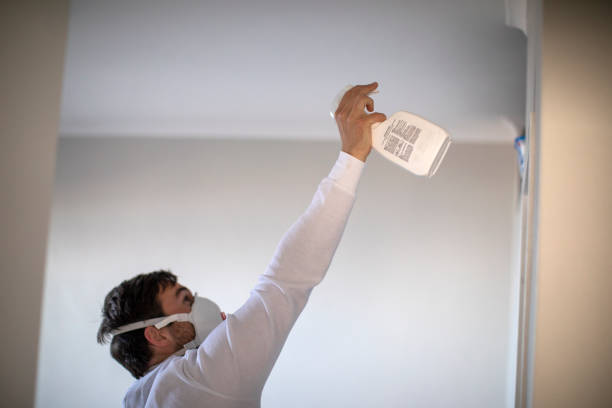 Best Water Damage Restoration  in Dumbarton, VA