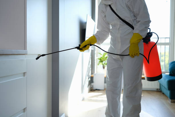 Best Mold Removal Company Near Me  in Dumbarton, VA