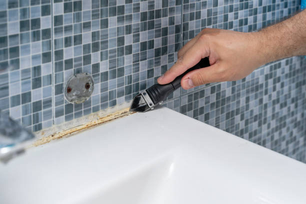 Best Same-Day Mold Removal  in Dumbarton, VA