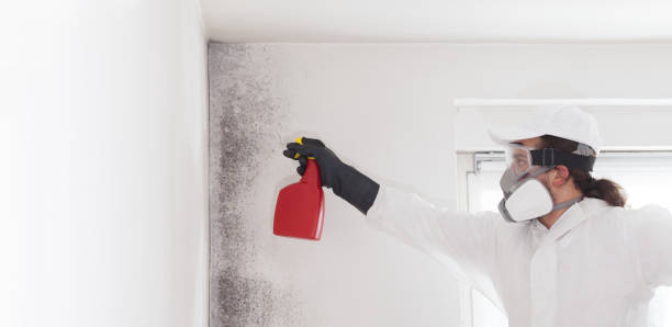 Best Mold Remediation  in Dumbarton, VA