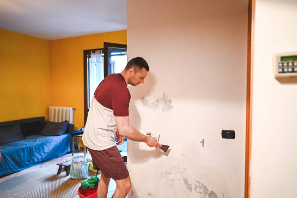 Best Black Mold Removal  in Dumbarton, VA